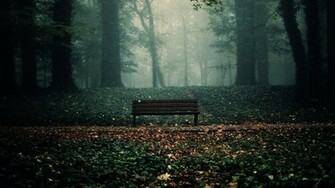 Woods Wallpaper HD Bench In The Fall