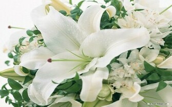Wedding The World Flowers Background