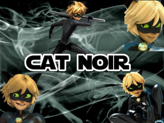 Cat Noir Wallpaper