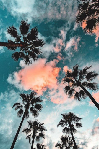 California Aesthetic Wallpaper