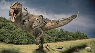 Cat On The Tyrannosaurus Wallpaper And Image