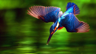 Dccc73774d295ce1a858bc9837f8dd8a Wallpaper