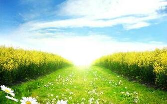 Green Field Wallpaper And Image Pictures Photos