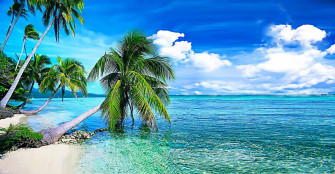 Live Wallpaper For Pc 4k Picture