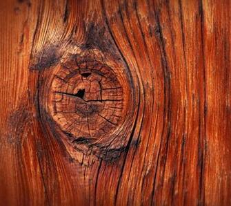 Wood Grain Windows Nature Wallpaper In The Album