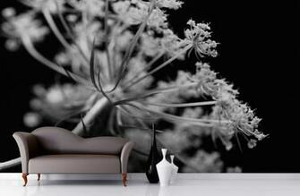 Black And White Dandelions Wall Mural Muralswallpaper Co Uk