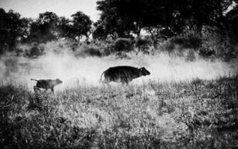 Index Of Assets Image Southern Africa Botswana