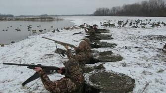 Goose Hunting Wallpaper Duck B Cake Ideas And