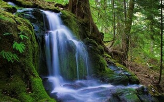 New 4k Nature Wallpaper HD Background