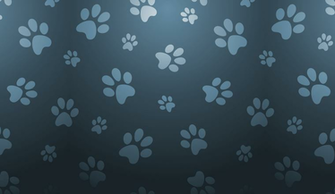 Pets Background Image In Collection