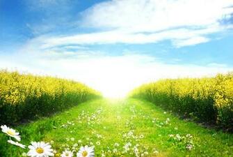 Scene Scenery Season Sky Spring Summer Sun Sunlight Sunny