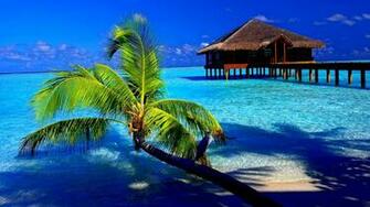 Tropical Computer Wallpaper And Pictures