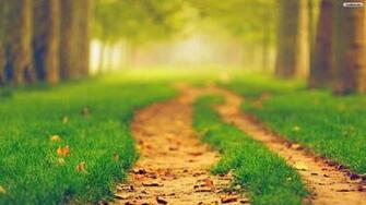 Whimsical Autumn Pathways That Are Impossible Not To Fall In