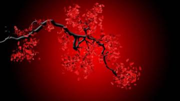Red Aesthetic Wallpaper