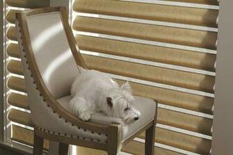Mccartney Carpet Flooring Window Coverings On Hunter Douglas