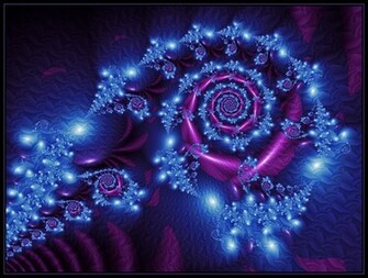 Beautyful Flowers Purple Rose Wallpaper
