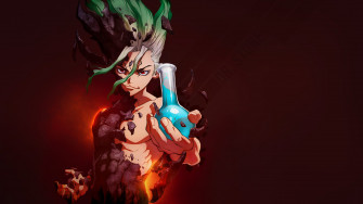 Dr Stone Anime Flask 2k Wallpaper HDwallpaper Desktop
