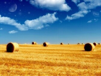 Summer Wallpaper HD For Desktop And Background