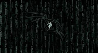 Kali Background