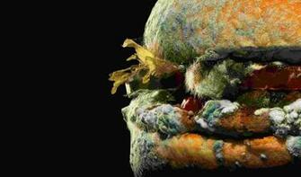 Burger King Thinks Moldy Whoppers Will Get You To Buy More Burgers