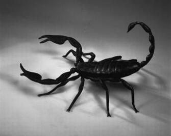 Best Wallpaper Scorpions