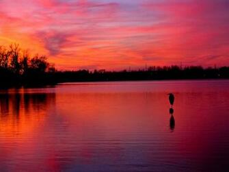 Pink Sunset Wallpaper