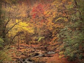Fall Scenery Mountains Smoky Of Tennessee