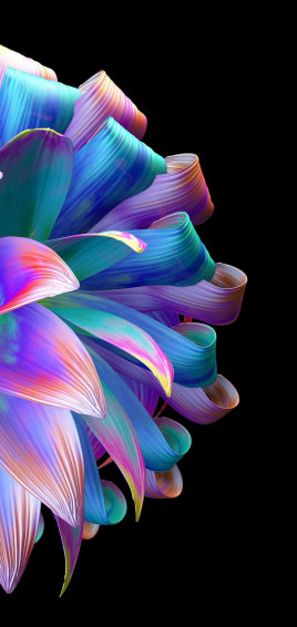 Flower Aesthetic Amoled Wallpaper Heroscreen Cool