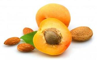 Apricot White Background Image All