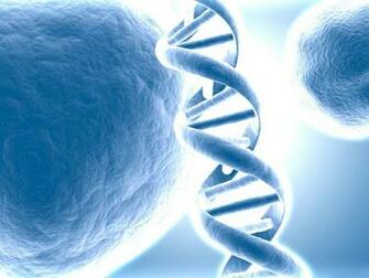 Source Url Wallpoper Wallpaper Biology Dna