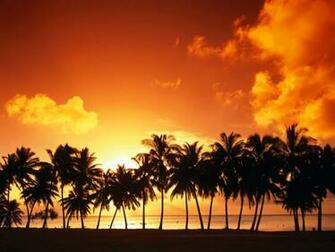 Line Of Palm Trees Desktop Pc And Mac Wallpaper