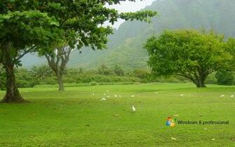 Windows Background High Resolution Wallpaper For Your Pc