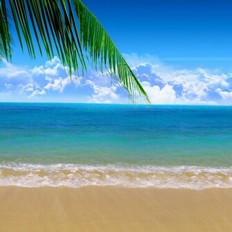Summer Beach iPad Air Wallpaper iPhone