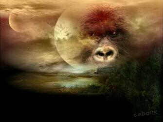 Gorilla Wallpaper