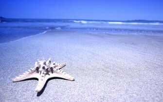 Beach Wallpaper
