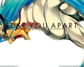 Grimmjow Jeagerjaques Wallpaper