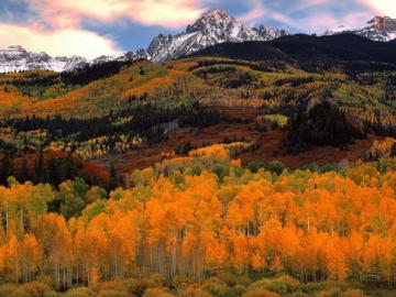 Apple Mac Desktop Wallpaper HD Autumn Nature