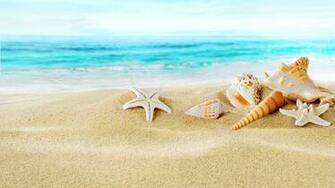 Seashells On Sand Beach Wallpaper For Desktop Netbook HD