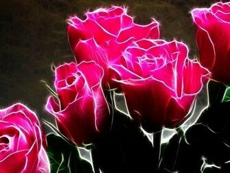 Neon Pink Roses Wallpaper