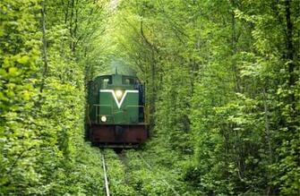 Railway Tunnel Of Love Wallpaper Travel HD