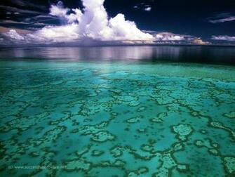 Great Barrier Reef Wallpaper