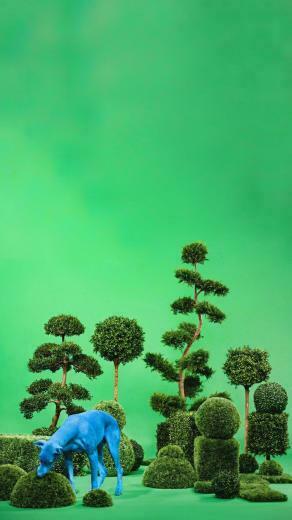 Phone Wallpaper Snoop Dogg Bush HiphopImage
