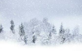 Snow Seasons Snowing Snowfall Flakes Blizzard Storm White Wallpaper
