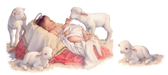 Baby Jesus Christmas Photo