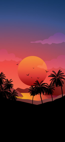iPhone Wallpaper 4k Aesthetic Sunset Tree