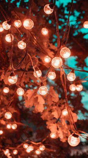 Wallpaper Light Emitting Diode Lighting Christmas Lights