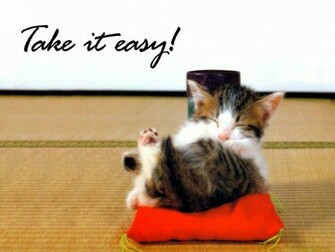 Tag Funny Pets Wallpaper Image Photos Pictures And Background