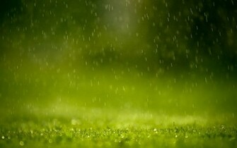 Wallpaper Box Raindrops On Window HD