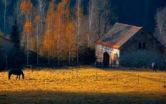 Farm In Autumn Wallpaper Stock Photos
