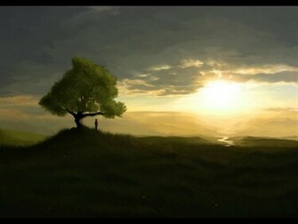 Wallpaper Cool Tree
